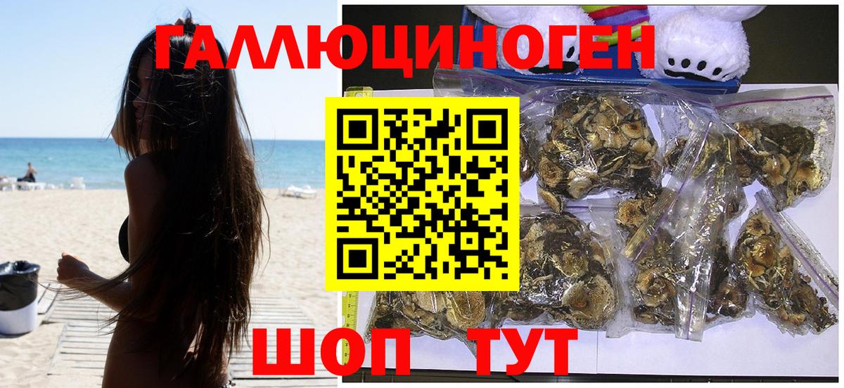 Псилоцибиновые грибы Magic Shrooms Хабаровск